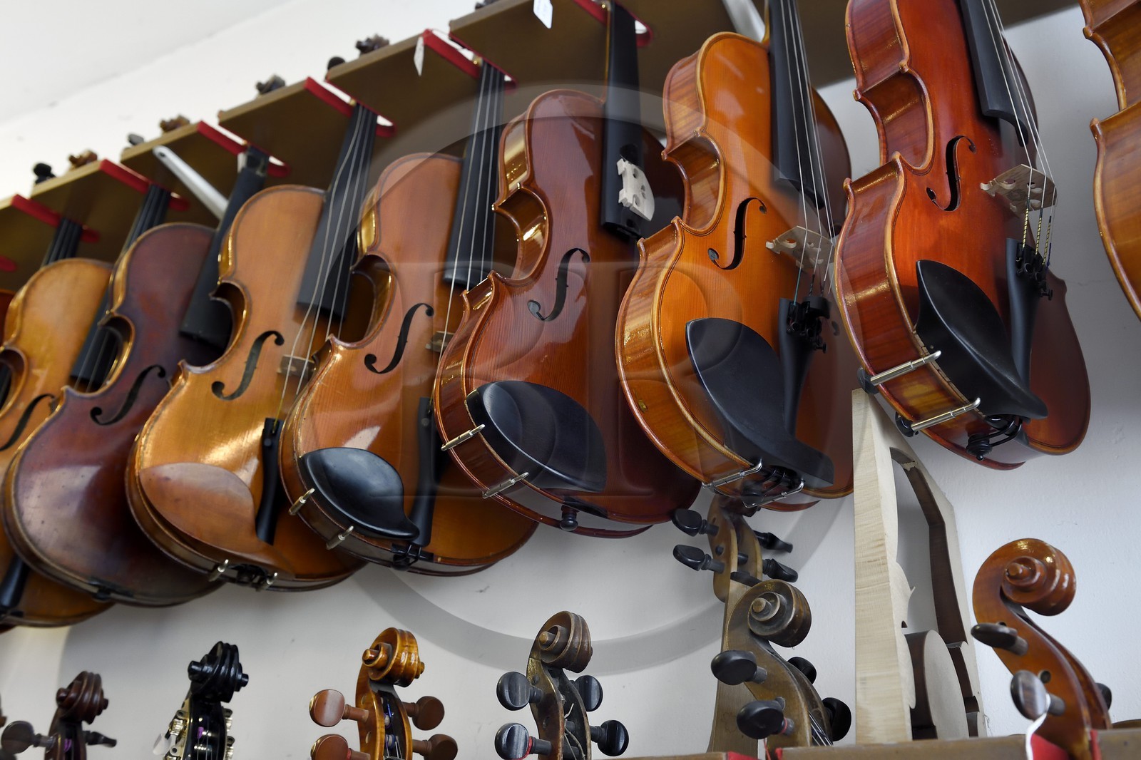 France, Dordogne, White Perigord, Perigueux, the stringed-instrument maker Damien Florio workshop