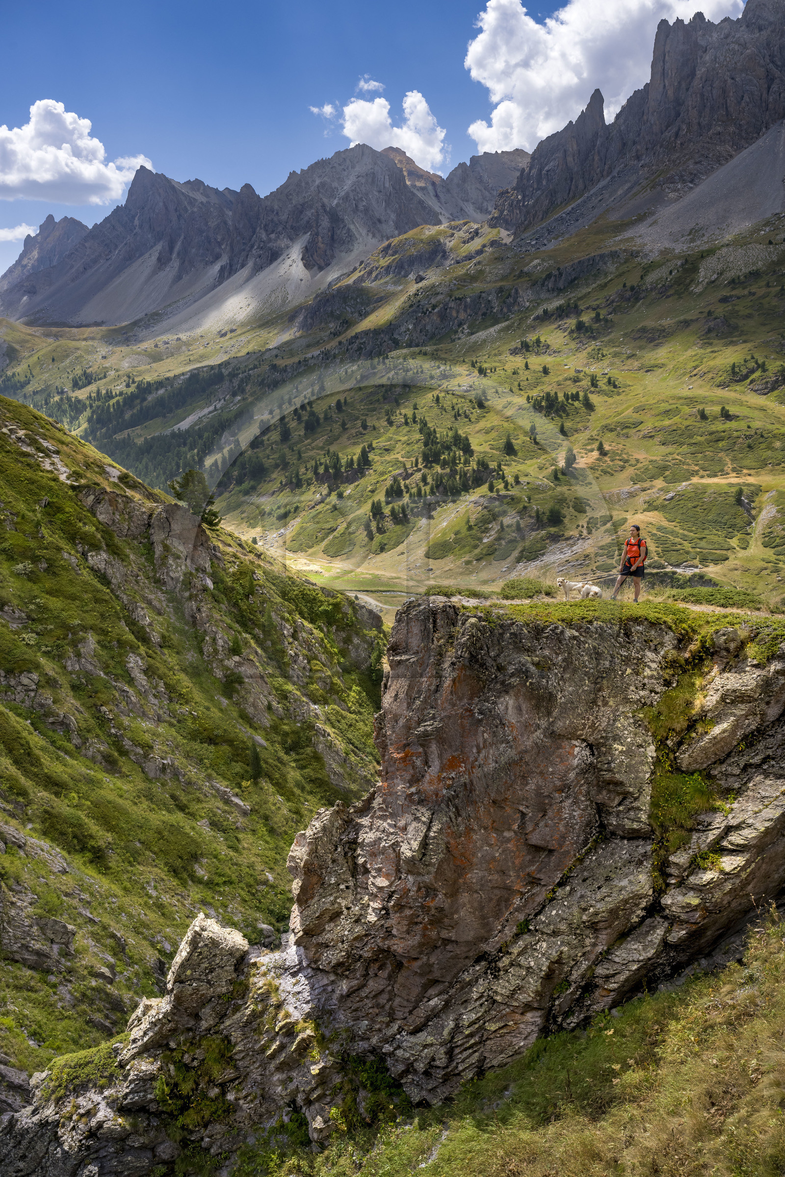France, Hautes Alpes (05), le Briançonnais, Névache, randonneuse avec ses chiens dans la haute vallée de la Clarée, le massif des Cerces en arrière-plan