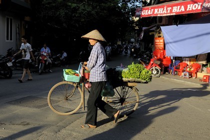 Vietnam, Hanoï, vieille ville, marchande de quatre saisons à vélo