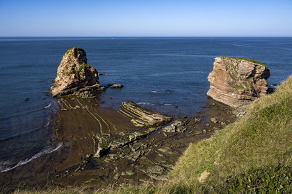 France, Pyrénées-Atlantiques (64), la côte du Pays-Basque, le domaine d'Abbadia géré par le Conservatoire du littoral, rochers des Jumeaux aux falaises de la pointe Sainte-Anne