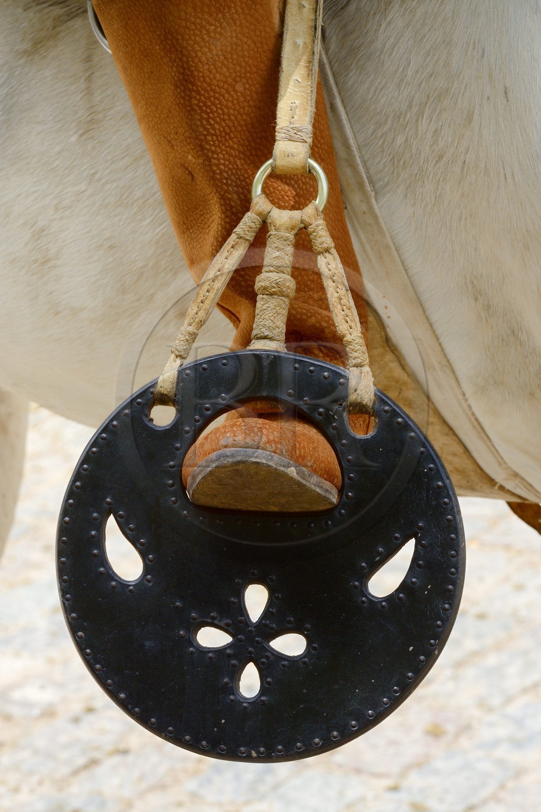 Argentine, province de Buenos Aires, San Antonio de Areco, fête du Jour de la Tradition (Dia de la Tradicion), étrier traditionnel en cuir