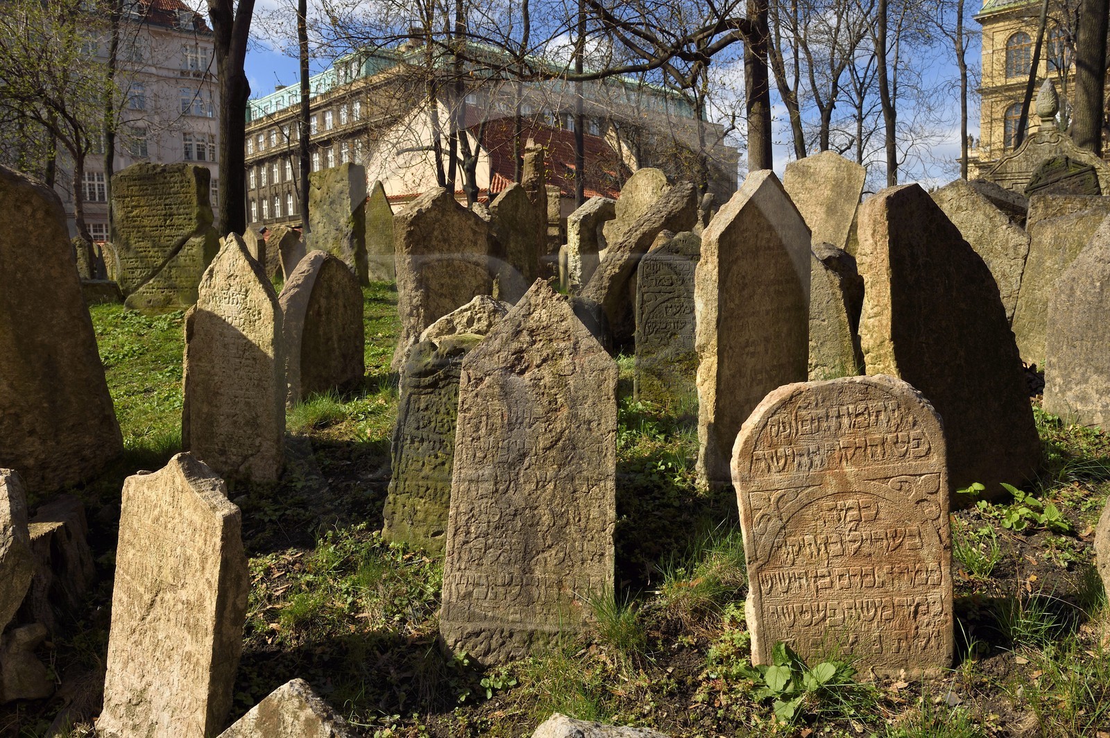 République Tchèque, Prague, centre historique classé Patrimoine Mondial de l'UNESCO, quartier juif de Josefov, cimetière juif et la synagogue Pinkas en arrière plan