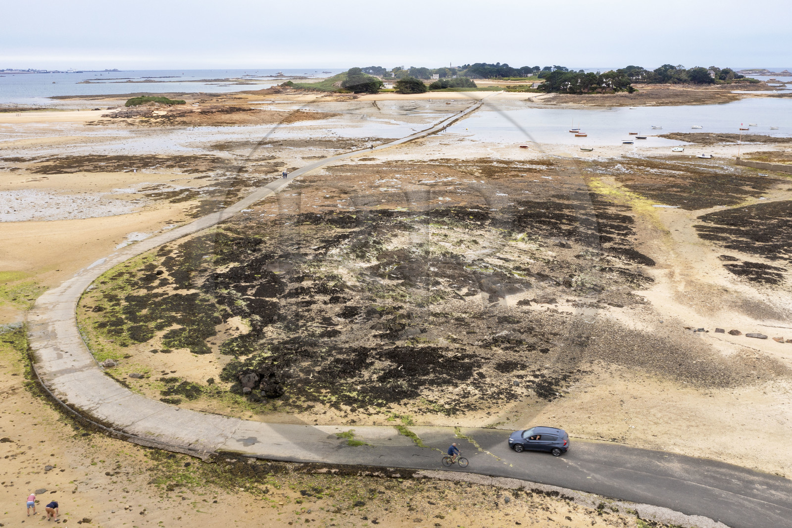 France, Finistère (29), Baie de Morlaix, Carantec, la route submersible sur l'estran à marée basse vers l'Ile Callot en arrière plan (vue aérienne)