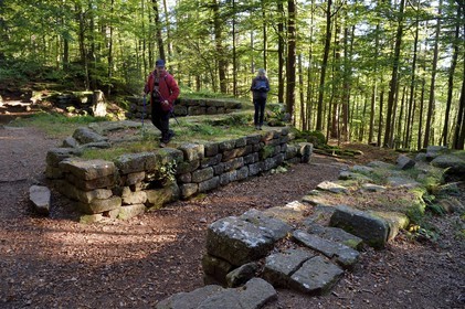 France, Bas-Rhin (67), Mont Saint-Odile, randonnée autours du Mur Païen, vestige d'un mur d'enceinte probablement de l'époque mérovingienne d'une longueur totale de onze kilomètres, Porte Zumstein découverte en 1968