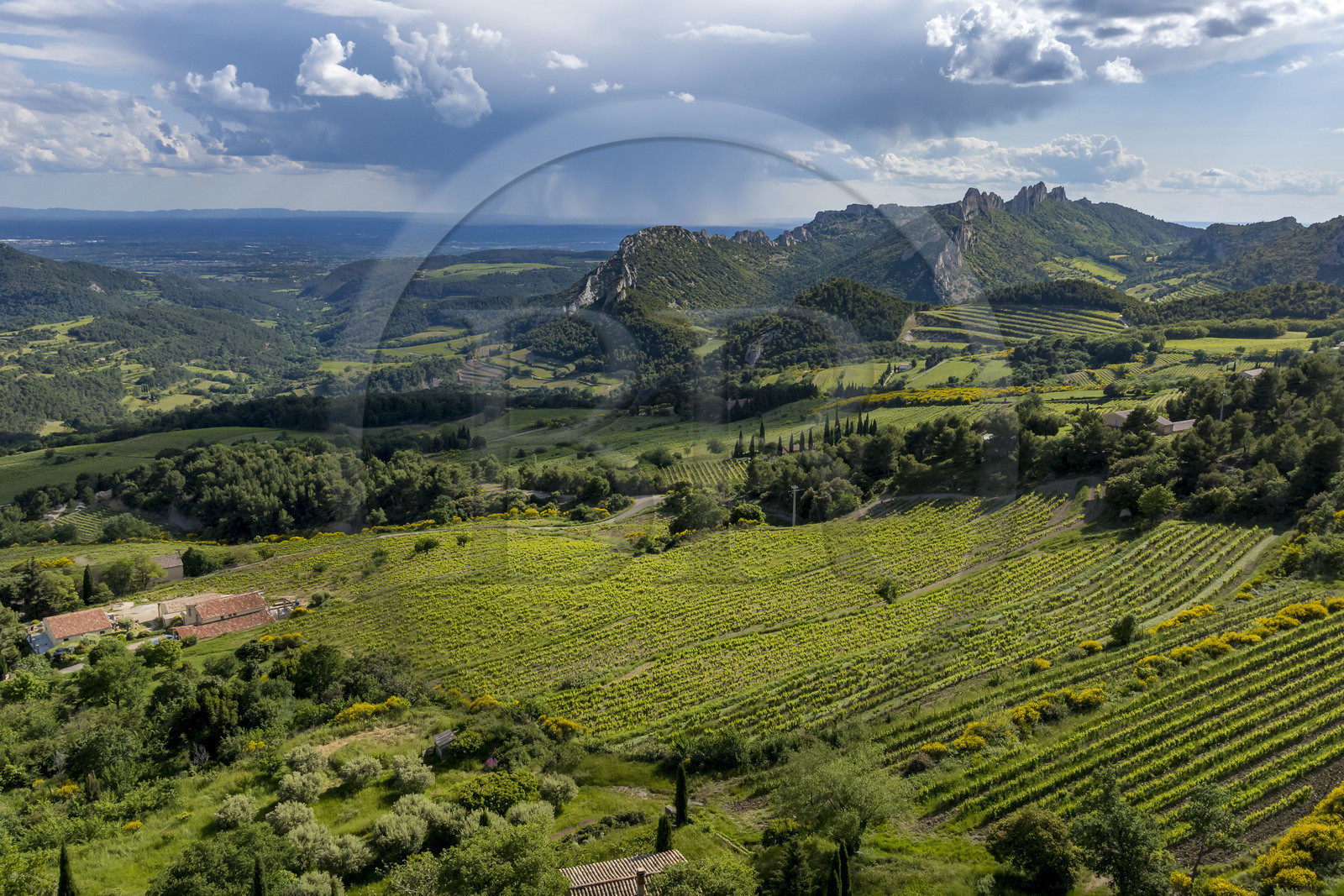 France, Vaucluse (84), Dentelles de Montmirail, le vignoble autour du village de Suzette, le Clapis prolongé par le Grand Montmirail à gauche, les Dentelles Sarrasines au centre et le Grand Travers tout à droite en arrière plan (vue aérienne)