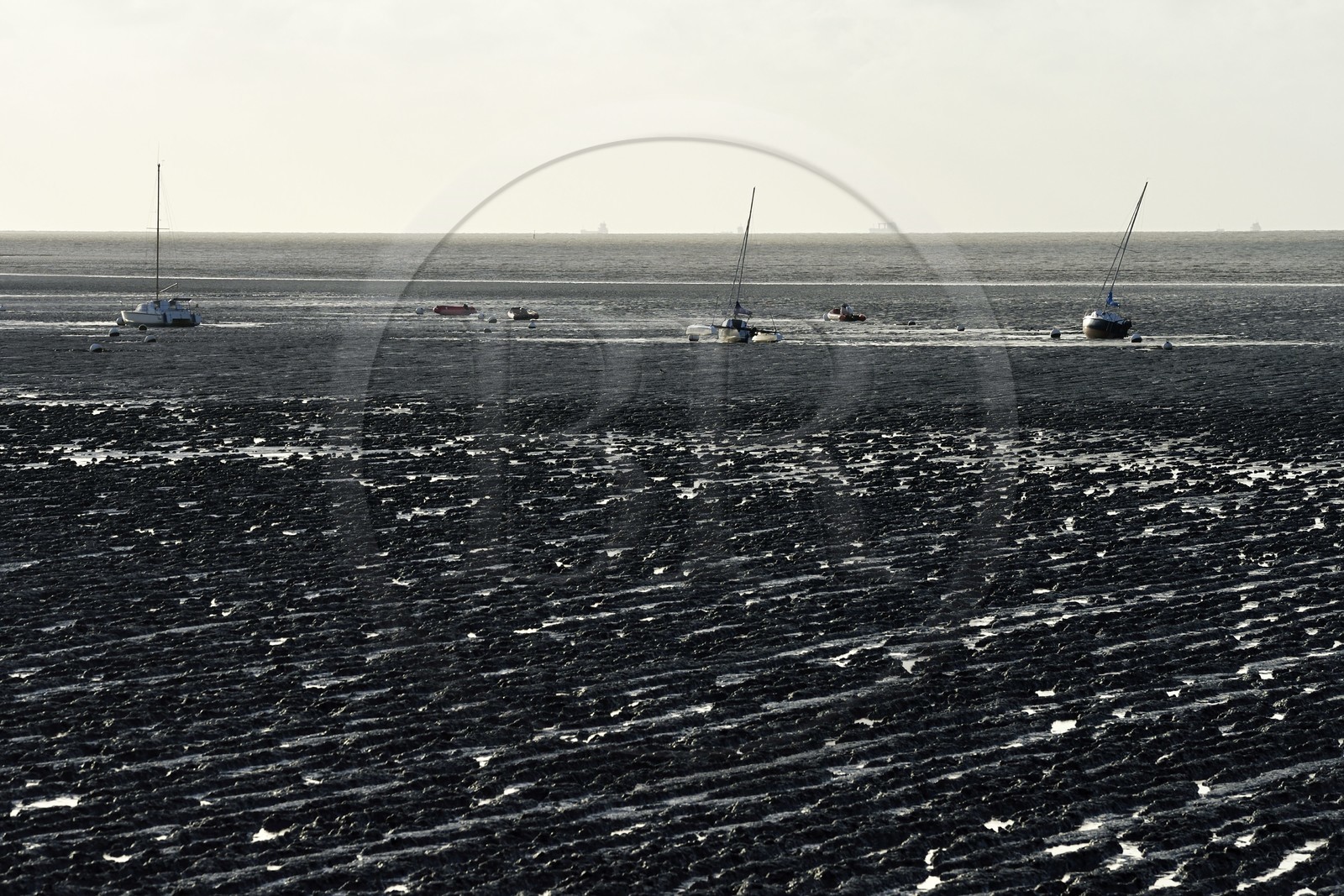 France, Charente-Maritime (17), Fouras, la plage nord à marée basse et cargos en arrière plan