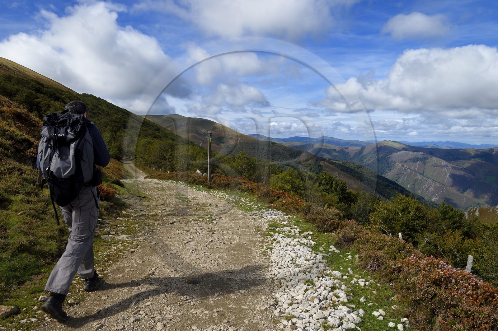 Espagne, Pays-Basque, Navarre, chemin de Saint-Jacques de Compostelle entre Saint-Jean-Pied-de-Port et Roncevaux au col de Bentarte