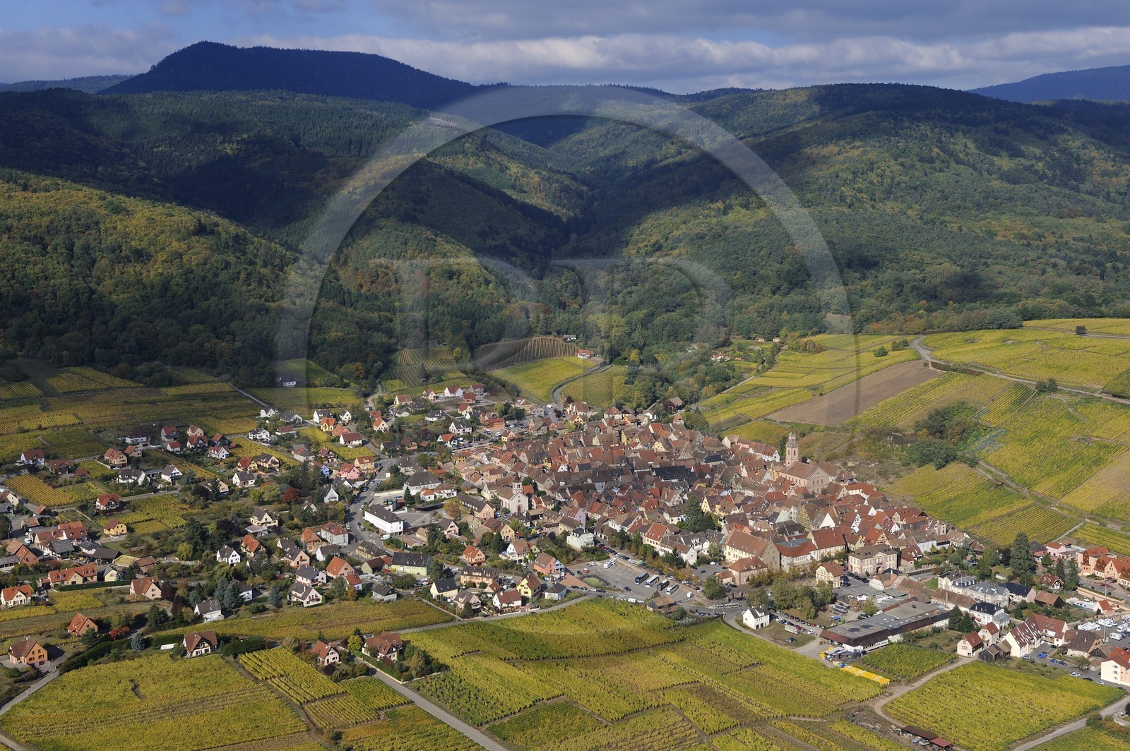 France, Haut Rhin, Riquewihr and its vineyard at the bottom of Vosges Massif (aerial view)
