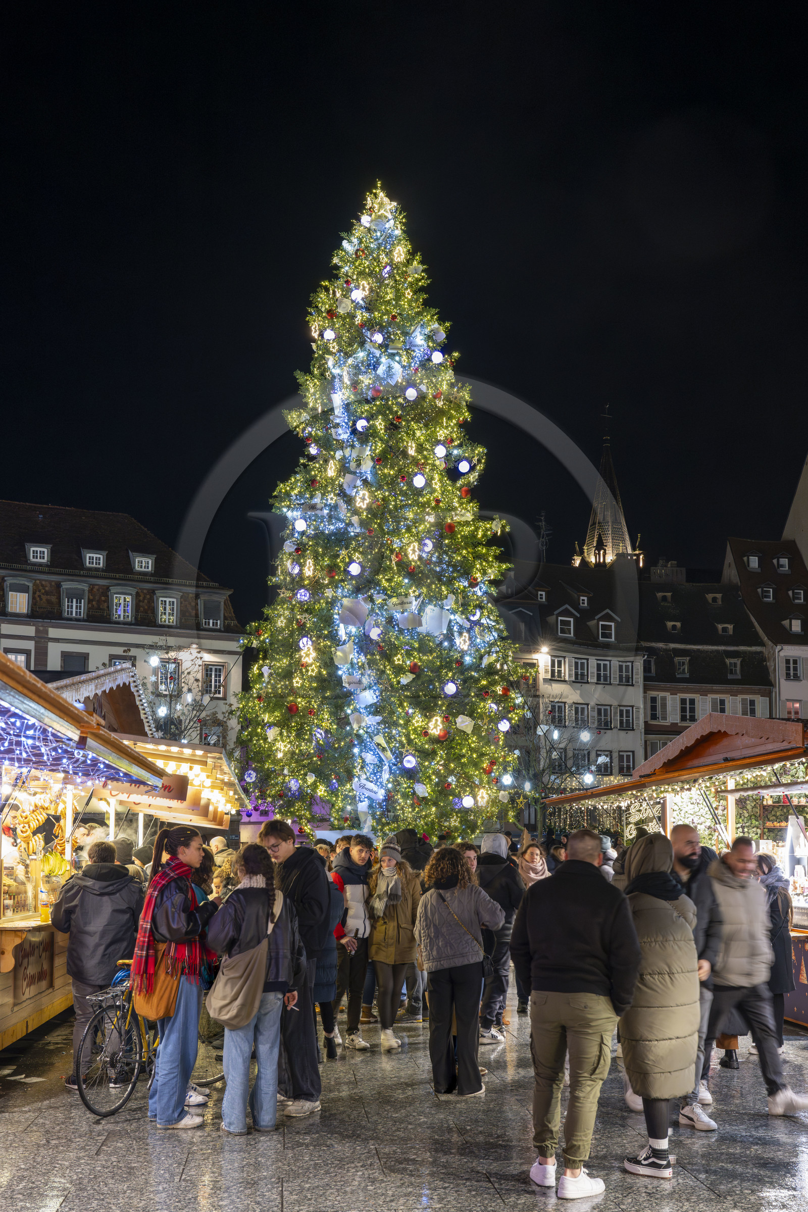 France, Bas-Rhin (67), Strasbourg, vieille ville classée au Patrimoine Mondial de l’UNESCO, le Grand Sapin de Noël de la place Kléber