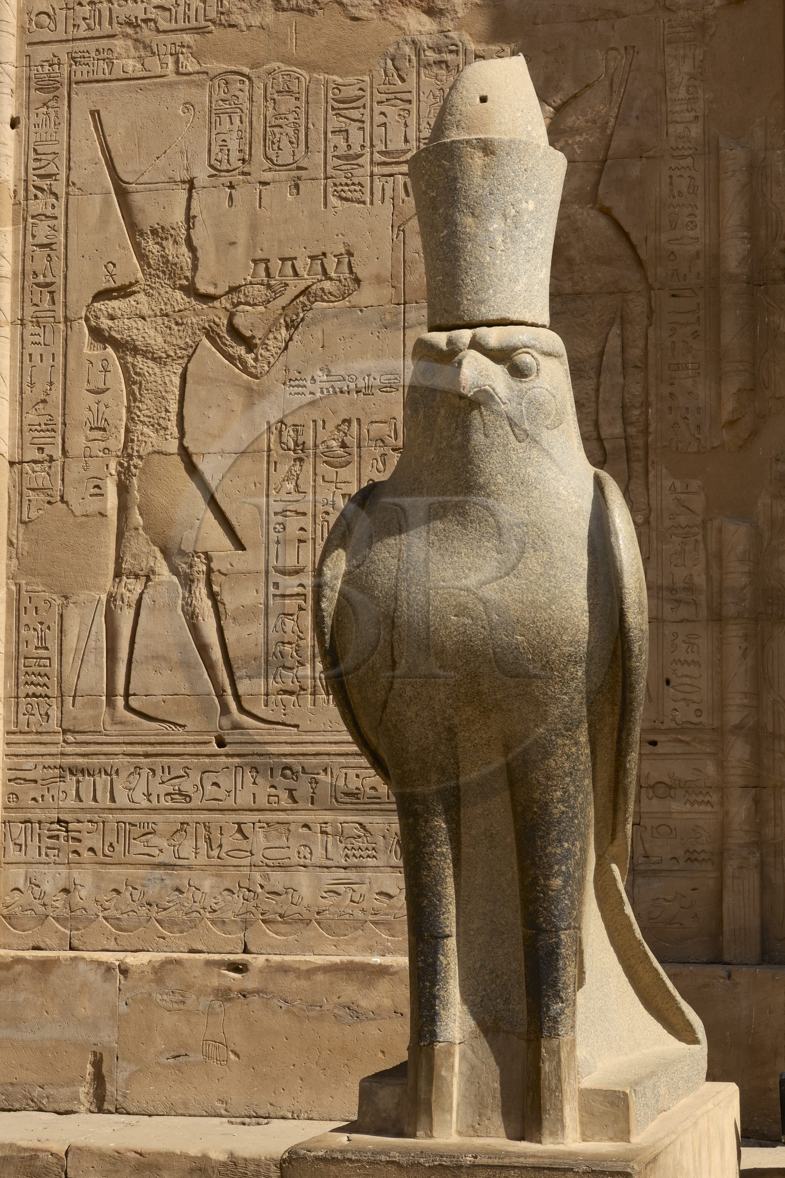 Egypte, Haute Egypte, vallée du Nil, Edfou, temple dédié au dieu Horus, statue du dieu faucon Horus