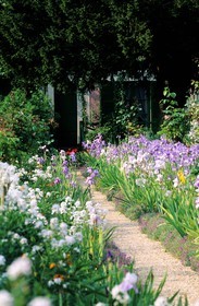 France, Eure, Giverny, Claude Monet Foundation garden