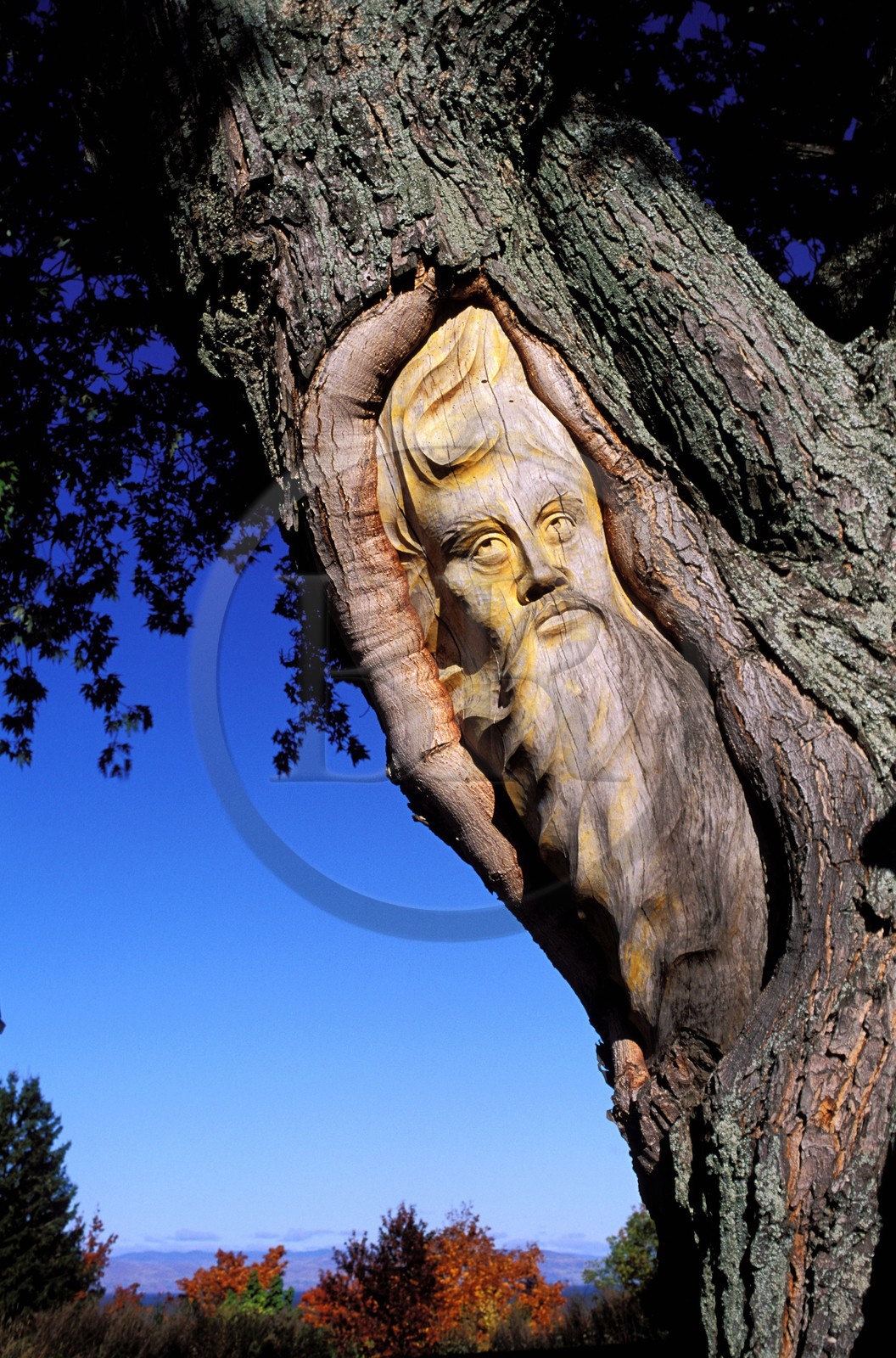 Canada, province de Québec, sculpture en bois dans les rues de Saint-Jean-Port-Jolie, Chaudière-Appalaches