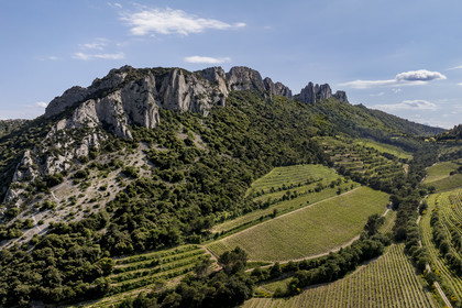 France, Vaucluse, Dentelles de Montmirail mountains, the mountain of the Dentelles Sarrasines and the terraced vineyards (aerial view)