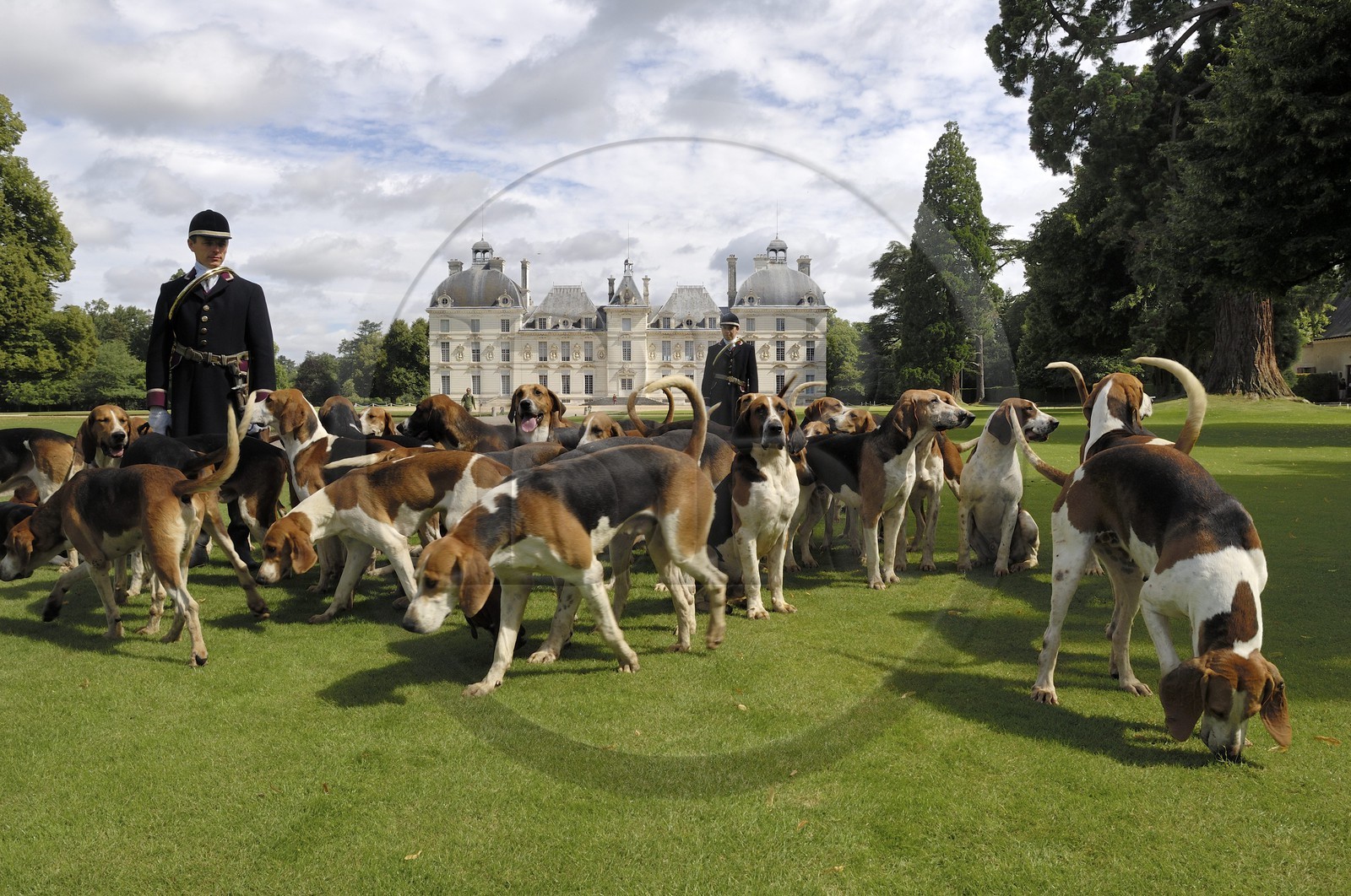 France, Loir et Cher, Chateau de Cheverny, the hunstmen Vol au Vent and La Rosée, who manage the pack of 90 dogs for hunting