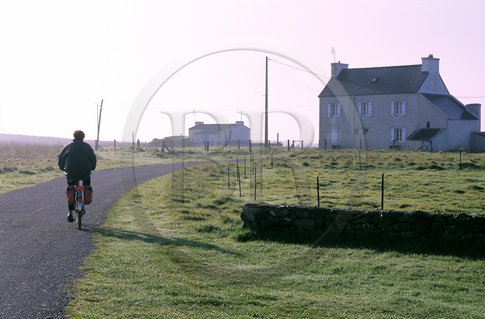 France, Finistère (29), île d'Ouessant, la campagne vers Kergadou