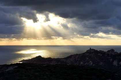 France, Corse-du-Sud (2A), le site naturel de Cala de Roccapina, la tour génoise et le rocher du Lion