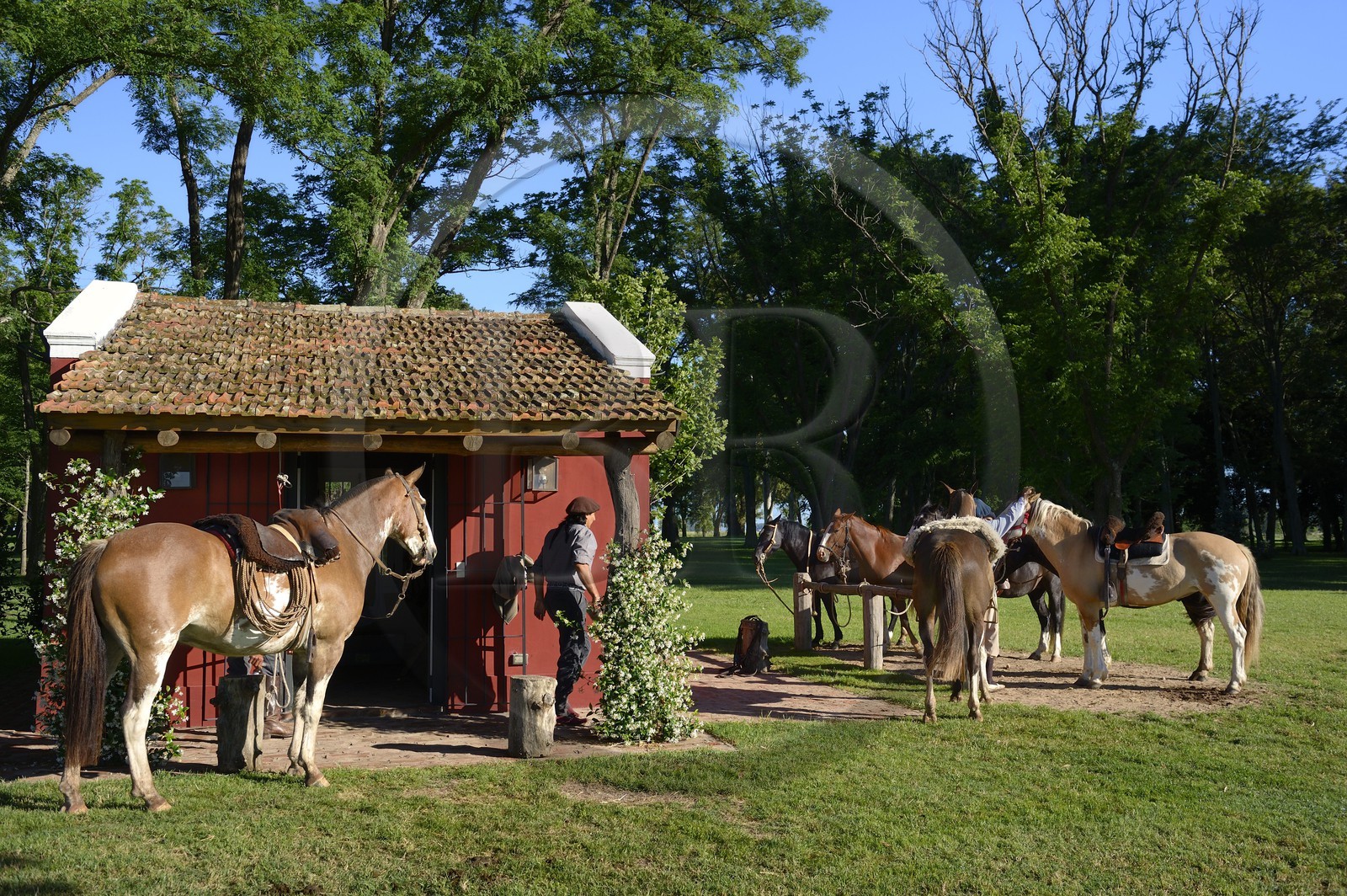 Argentine, province de Buenos Aires, San Antonio de Areco, estancia La Bamba de Areco, gauchos se préparant au départ