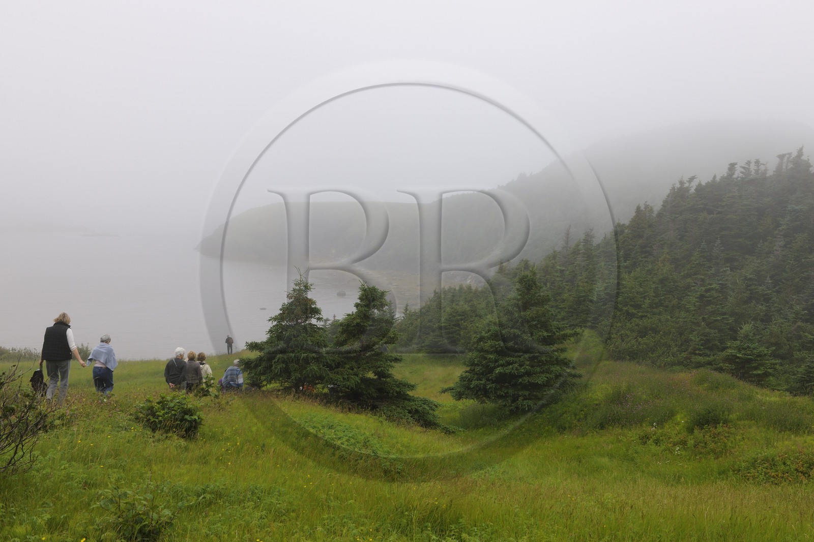 Canada, Newfoundland and Labrador Province, Newfoundland Island, Corner Brook Fjord, on the Capitain Cook's footsteps