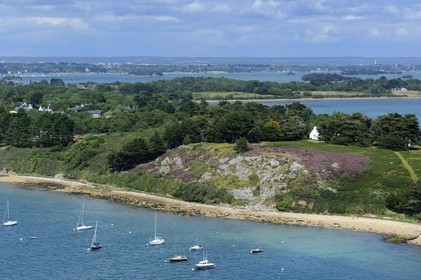 France, Morbihan, Gulf of Morbihan (Golfe du Morbihan), Ile aux Moines (aerial view)