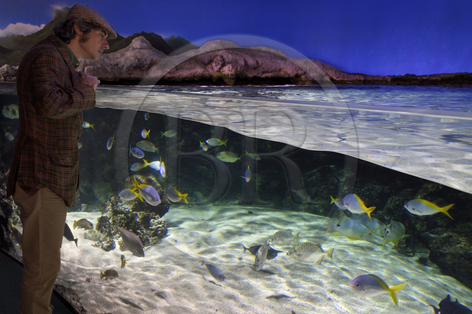 France, Charente-Maritime (17), La Rochelle, Aquarium La Rochelle, Mention obligatoire, zone indo-pacifique, le lagon