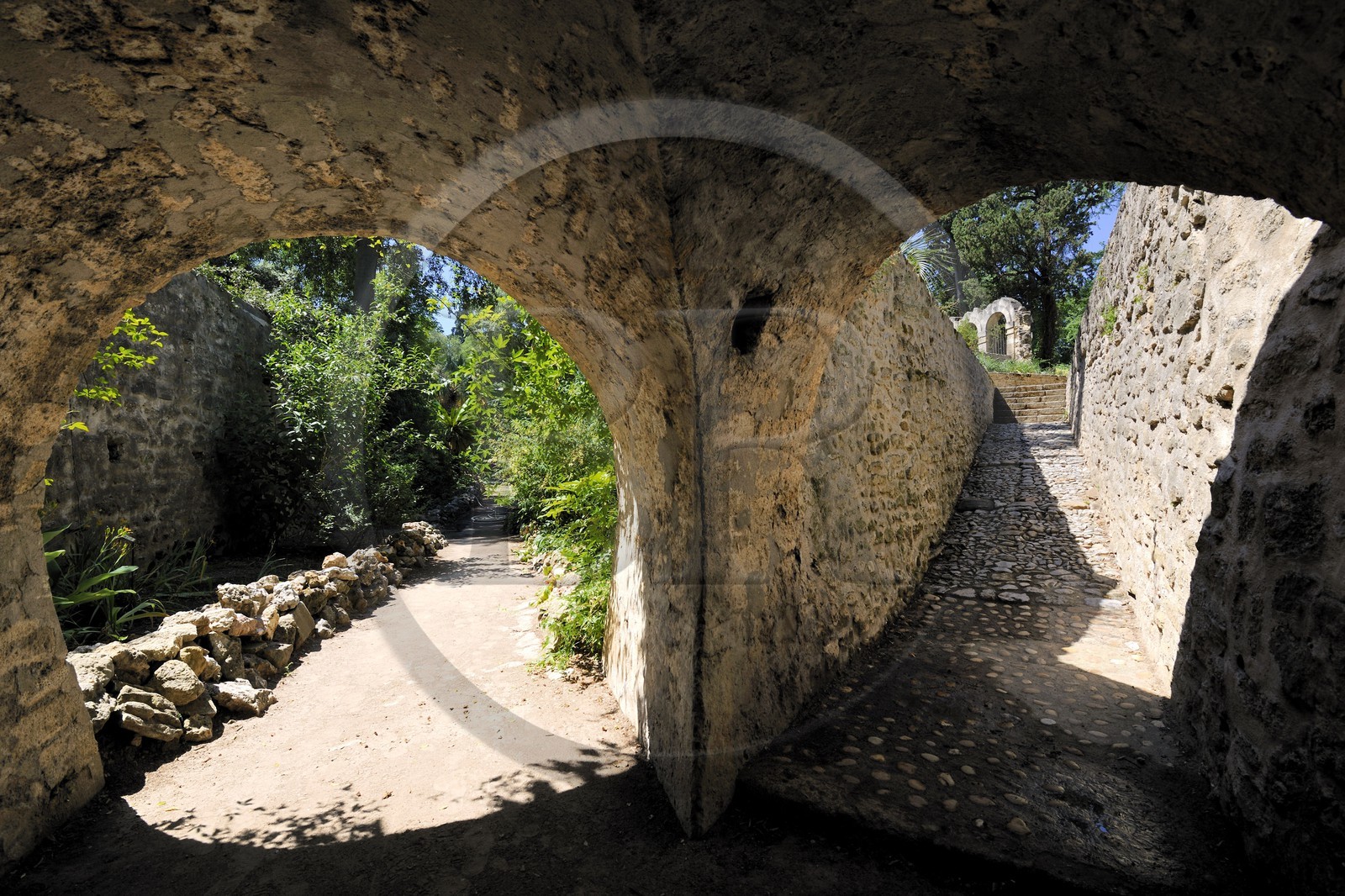 France, Herault, Montpellier, the Jardin des Plantes (botanical garden)