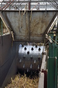 France, Ile de la Reunion, Saint-Louis, l'usine sucrière du Gol, broyage de la canne à sucre