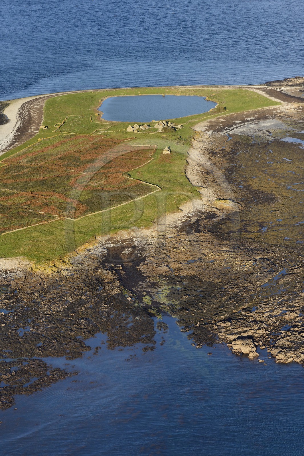 France, Finistere, the regional natural park of Armorica, Iroise sea, Trielen island in the Molene archipelago (aerial view)