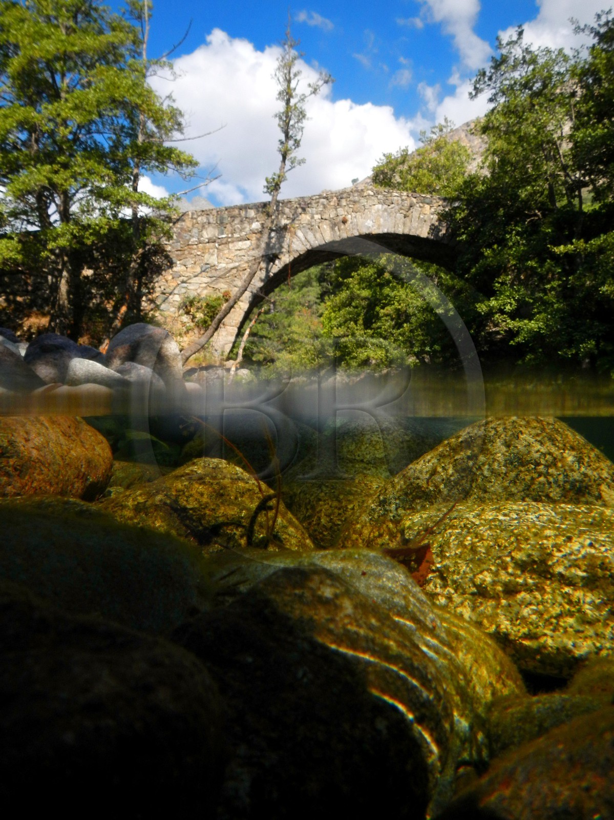 France, Haute-Corse (2B), région du Niolu (Niolo), pont génois de Murricciolu et les dessous de la rivière Calasima