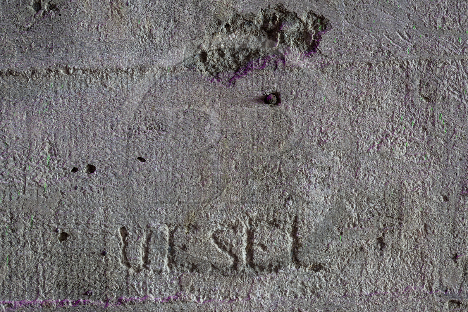 France, Loire-Atlantique (44), Saint-Nazaire, réhabilitation de la base sous-marine allemande construite lors de la dernière guerre mondiale et transformée en espace culturel, graffiti gravé dans l'alvéole 8 en mémoire au sous-marin U-338 dit Der Wilder Esel (l’âne sauvage)