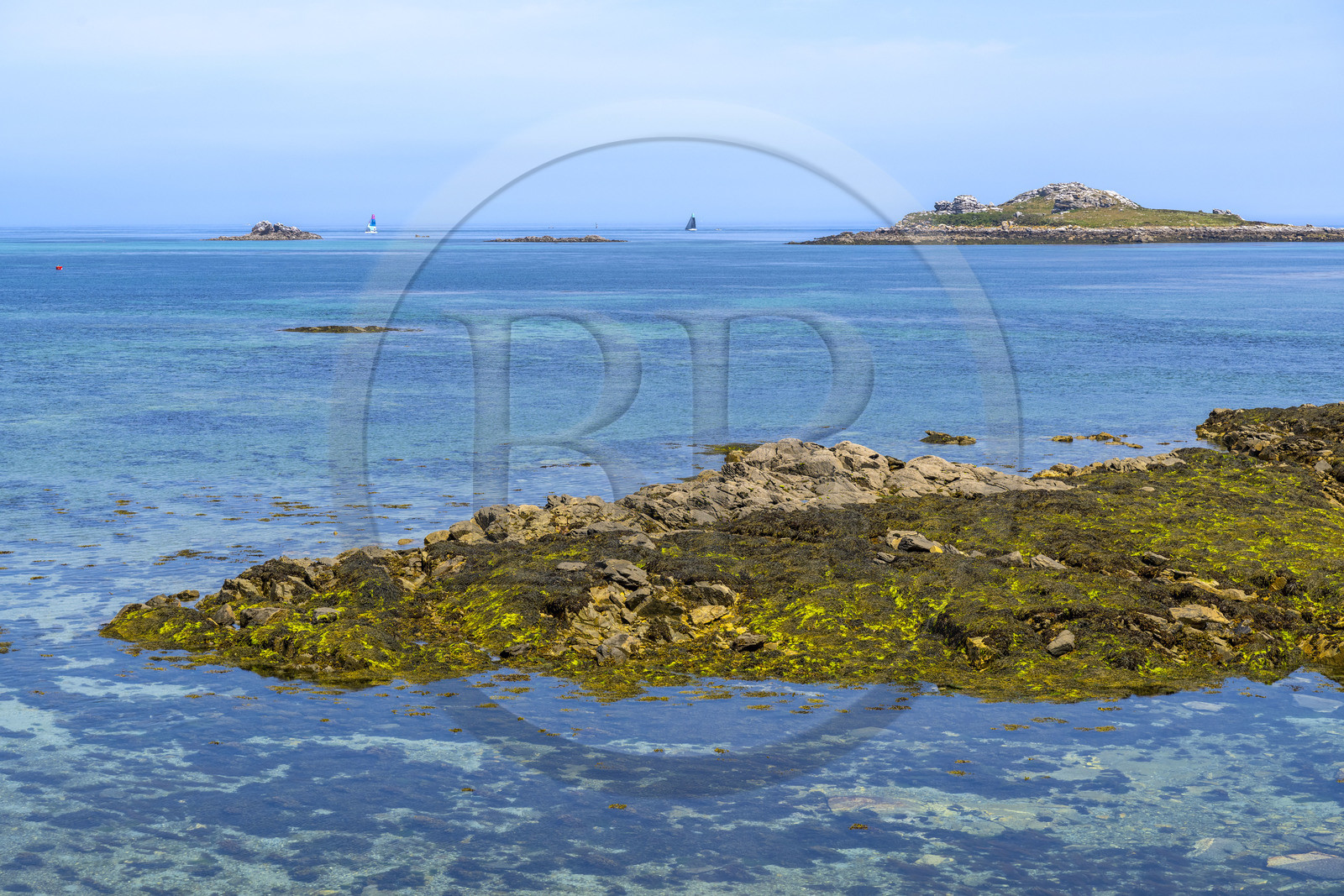 France, Finistère (29), Roscoff, ilots découverts à marée basse