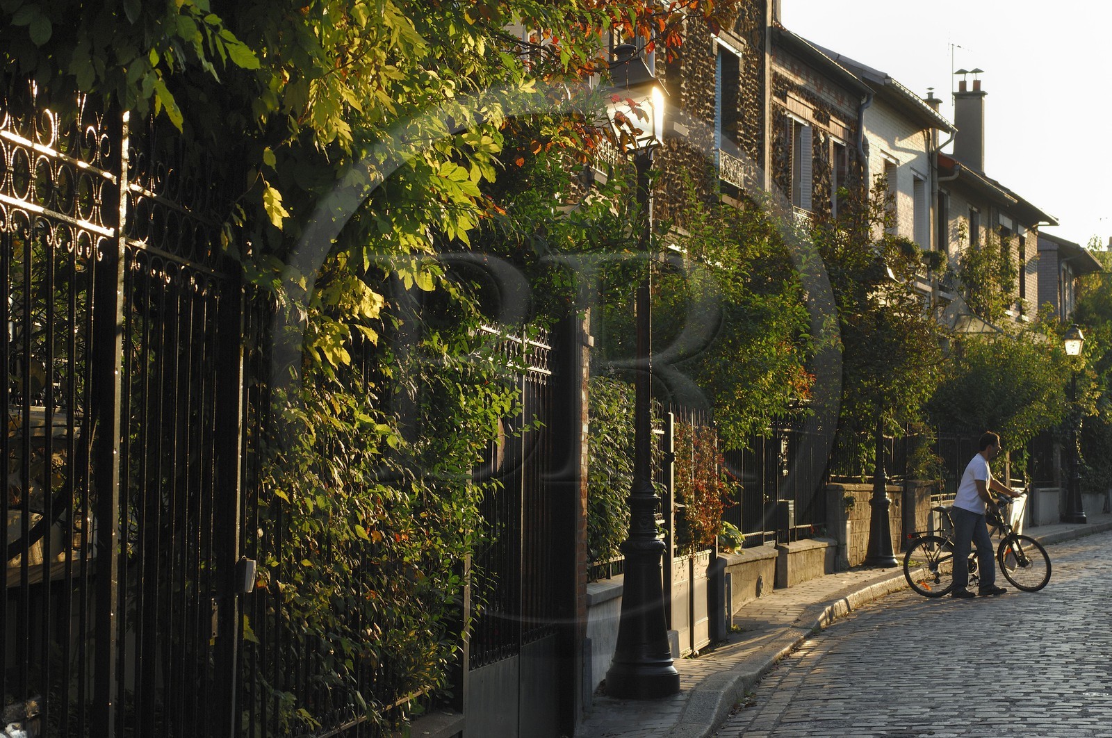 France, Paris 20ème (75), La campagne à Paris, maisons avec jardins au cœur de la ville