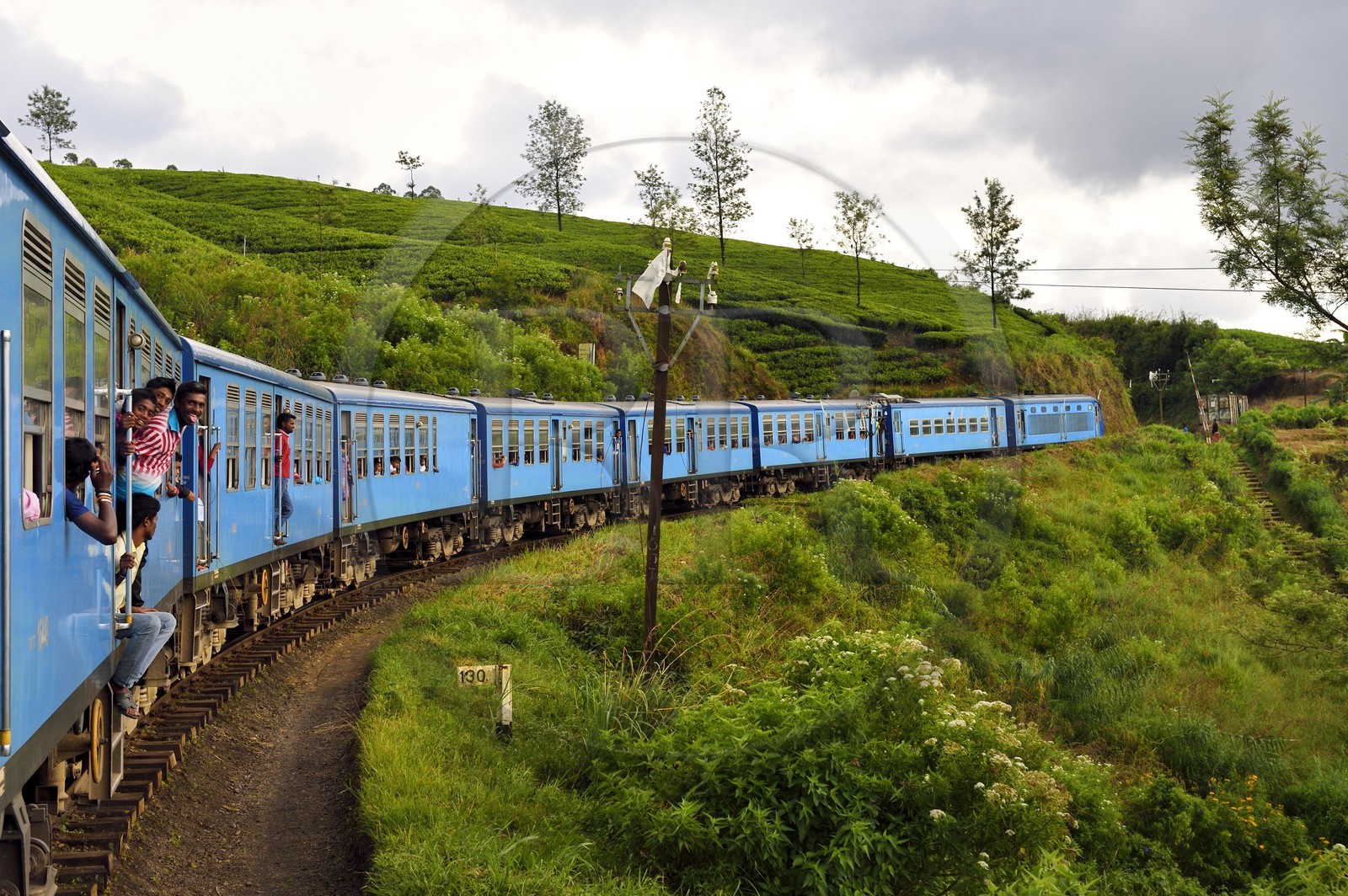 Sri Lanka, Province du Centre, trajet en train dans la région montagneuse de la culture du thé entre Hatton et Badulla, ici aux abords de Nanuoya