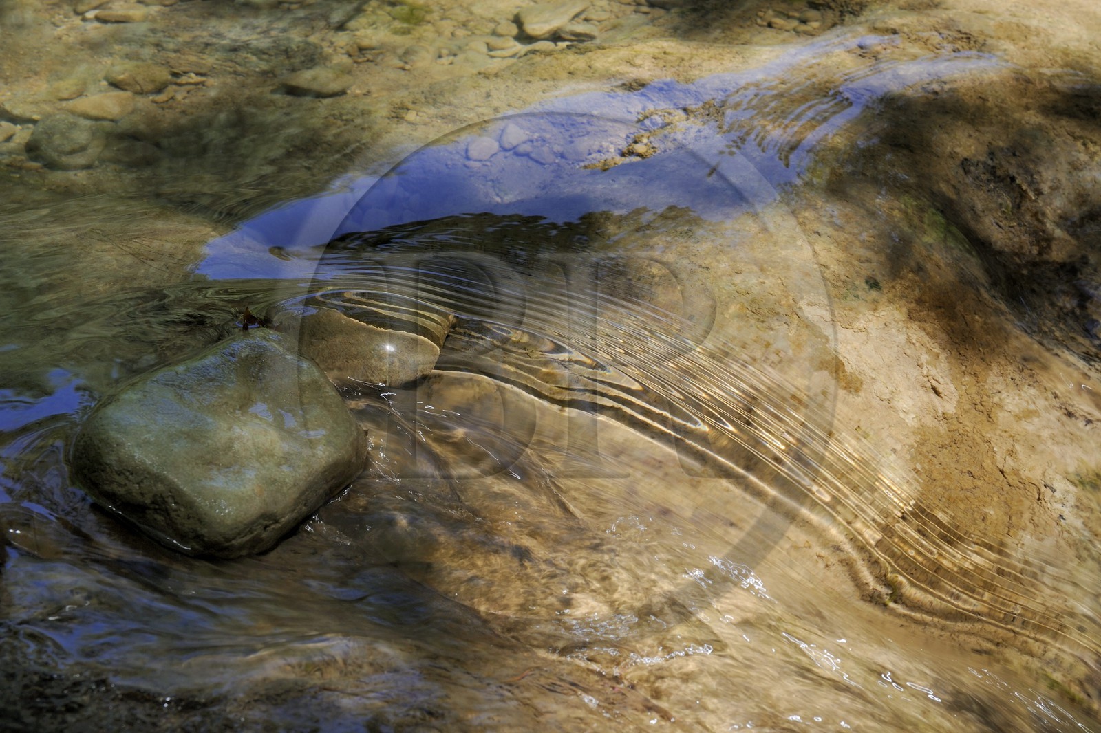 France, Var (83), Provence Verte, Tourves, rivière du Caramy dans les Gorges du Caramy