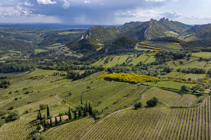 France, Vaucluse, Dentelles de Montmirail mountains, the vineyard around the village of Suzette, the Clapis extended by the Grand Montmirail on the left, the Dentelles Sarrasines in the center and the Grand Travers on the far right (aerial view)
