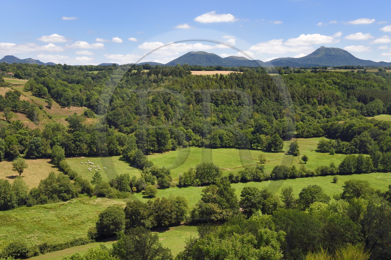 France, Puy-de-Dôme (63), sur la butte basaltique de Saint-Pierre-Le-Chastel surplombant la vallée de la Sioule, la Chaîne des Puys classée Patrimoine Mondial de l’UNESCO, avec le Puy de Côme à gauche, le Grand Suchet et le volcan Puy de Dôme à droite