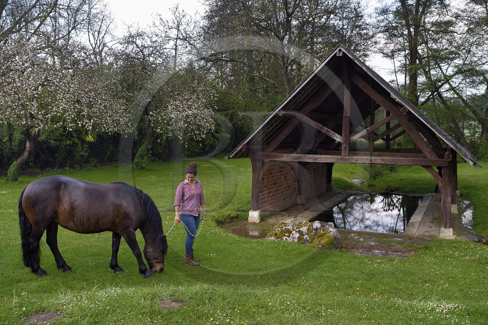 France, Yvelines (78), Montchauvet, le lavoir du XIXème siècle en contrebas du village, Claire Pilo