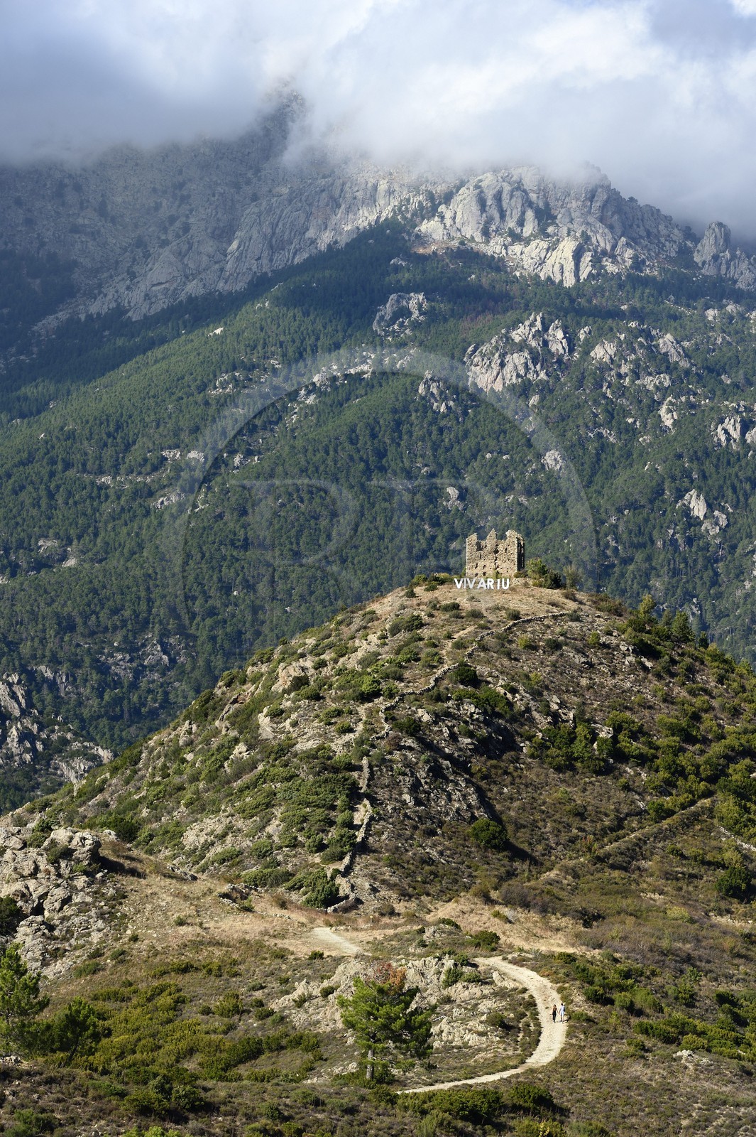 France, Haute Corse, Vivario, ruins of the Vivario fort or Pasciolo redoubt