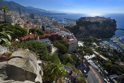 Principauté de Monaco, Monaco, le Jardin Exotique regroupant plusieurs milliers d'espèces de plantes succulentes, le Rocher en arrière plan