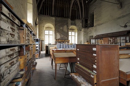France, Loir-et-Cher (41), vallée de la Loire classée au Patrimoine Mondial de l'UNESCO, château de Blois, réserves du Muséum d'histoire naturelle sous les combles de l'aile Gaston d'Orléans