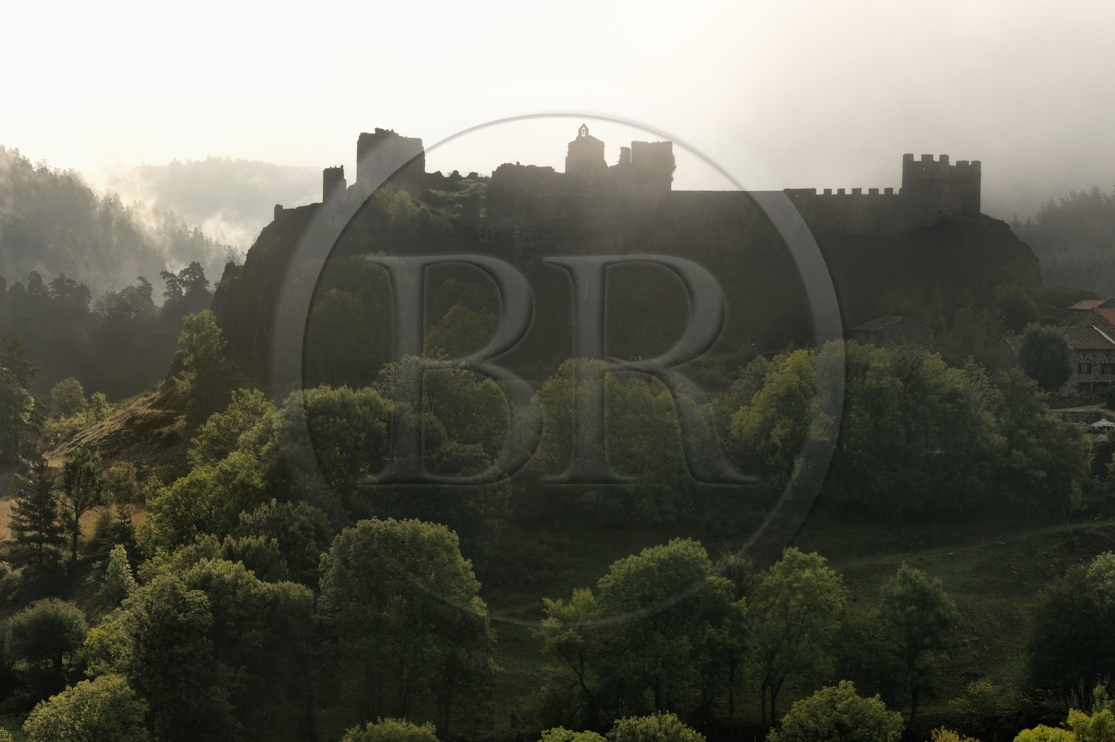 France, Haute-Loire (43), vallée de la Loire, Arlempdes, labellisé les Plus beaux villages de France, ruines du chateau perché sur un rocher basaltique