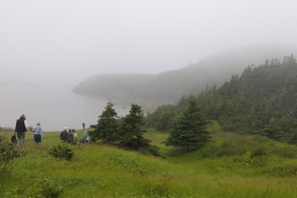 Canada, province de Terre-Neuve et Labrador, Ile de Terre-Neuve, fjord de Corner Brook sur les traces du capitaine Cook