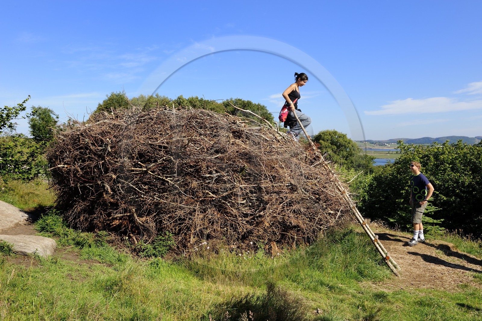 Norvège, Rogaland, région de Stavanger, Land Art sur l'île de Bru (Stavanger 2008), nid géant de World Fence de Barbro Raen Thomassen et Torild Wardenaer