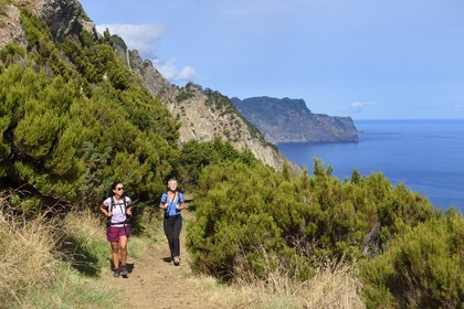 Portugal, Ile de Madère, randonnée de Machico à Porto da Cruz par le Vereda do Larano, au col de Boca do Risco