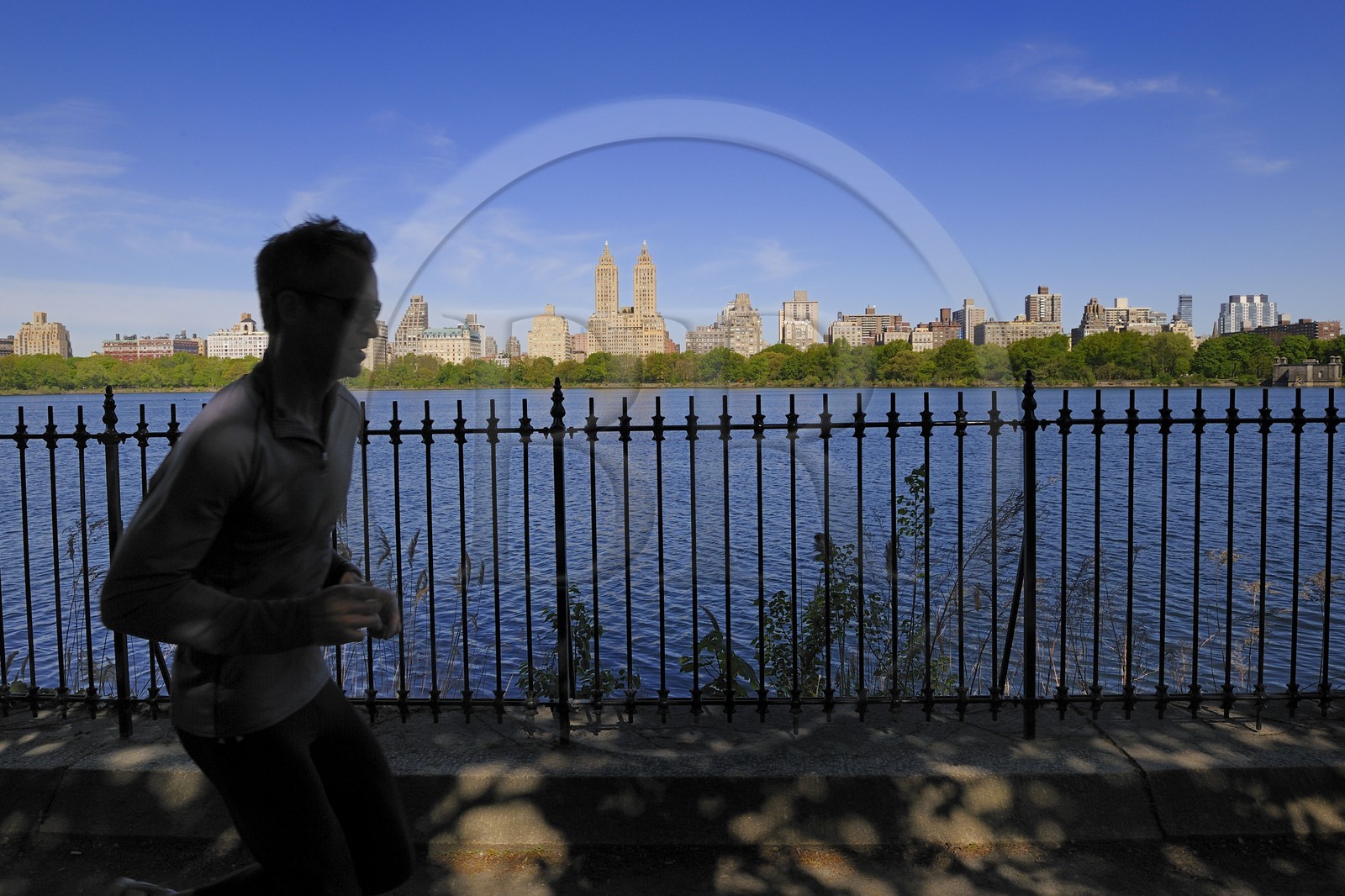 Etats-Unis, New York, Manhattan, Central Park, footing autour du Réservoir entouré de buildings