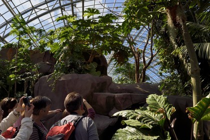 France, Paris (75), Le Parc zoologique de Paris (Zoo de Vincennes), visiteurs admirant un Ara rouge (Ara macao) dans la biozone Guyane sous la Grande Serre