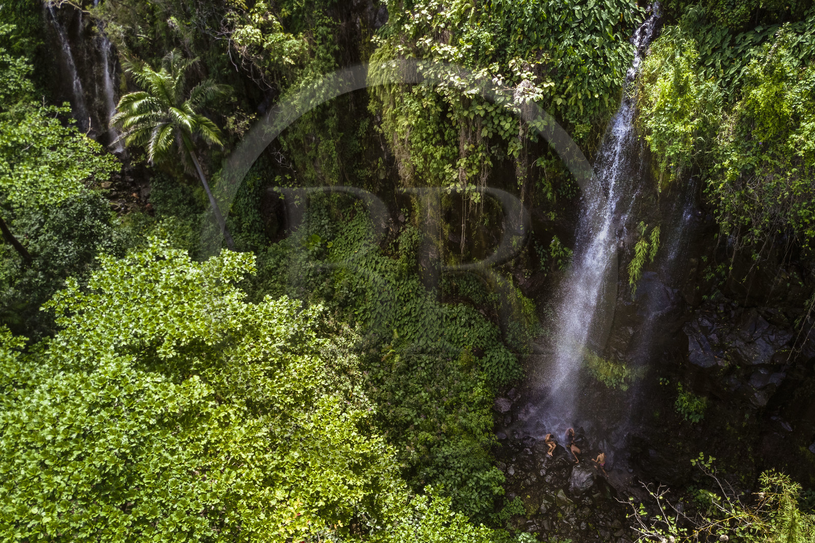 France, Reunion island (French overseas department), Reunion National Park, listed as World Heritage by UNESCO, Sainte-Rose, Anse des Cascades, creole children bathing under a waterfall (aerial view)