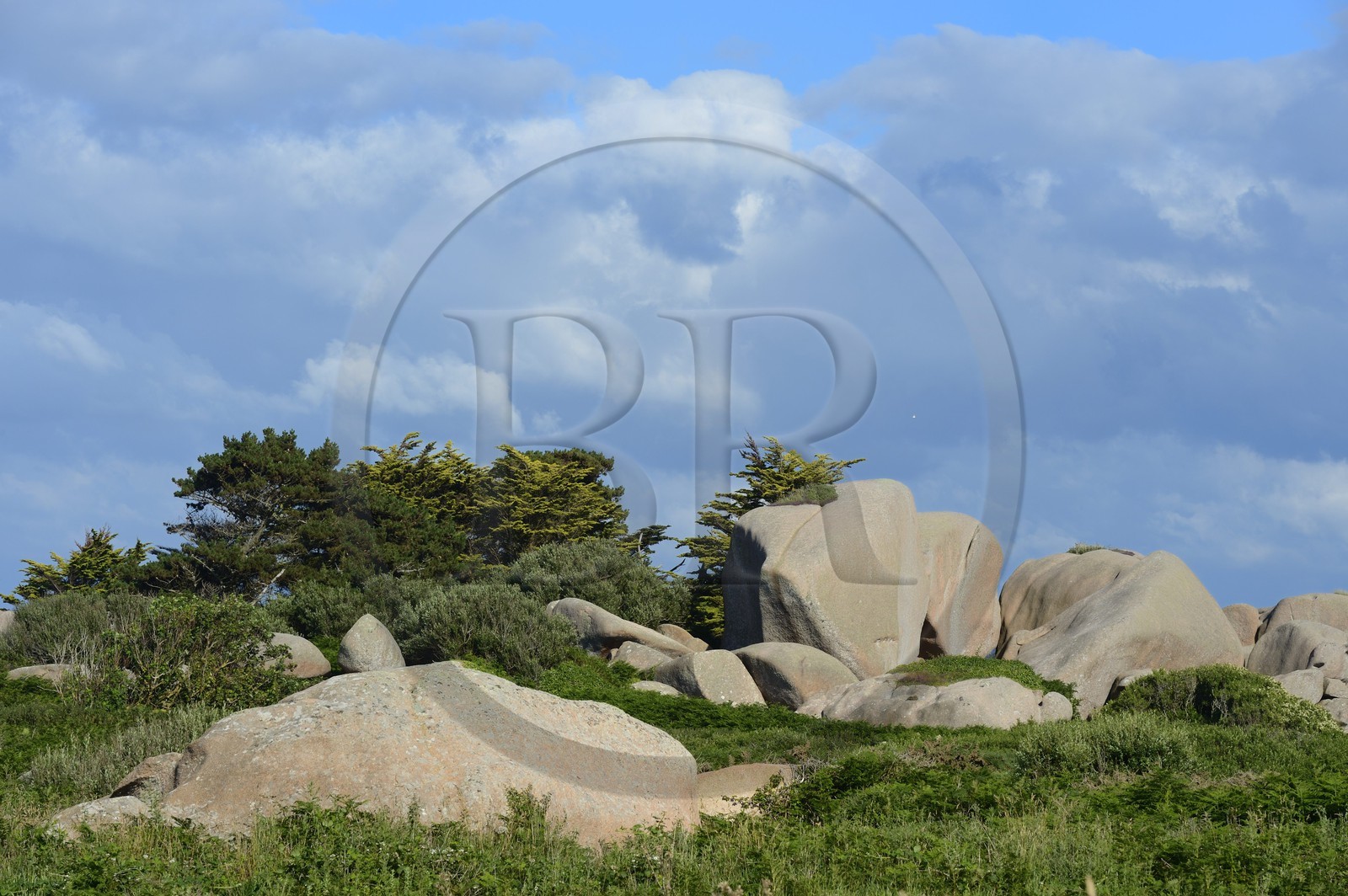 France, Côtes-d'Armor (22), Côte de Granit Rose, Trégastel, l'Ile Renote
