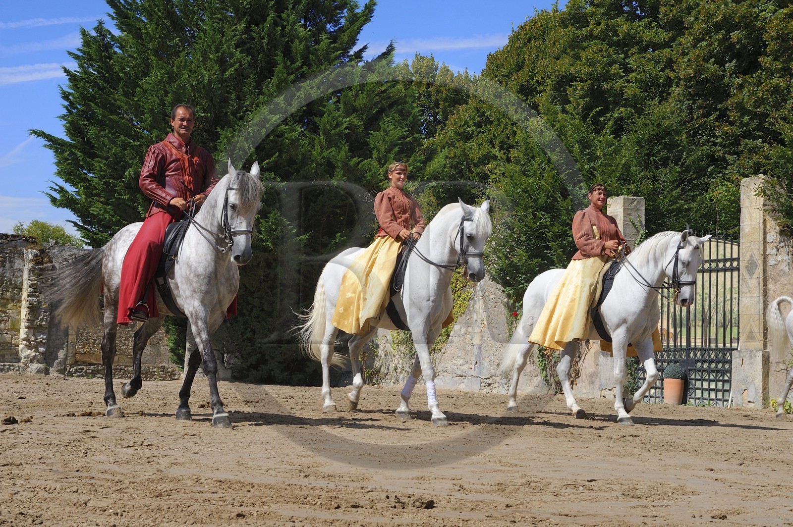 France, Loir et Cher (41), château de Chambord, spectacle d' Art équestre