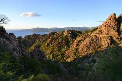 France, Corse-du-Sud (2A), Golfe de Porto, classé Patrimoine Mondial de l'UNESCO, calanches de Piana aux rochers de granit rose et la route D81 entre Porto et Cargèse, le Capo Senino et la Réserve naturelle de la presqu'île de Scandola en arrière plan