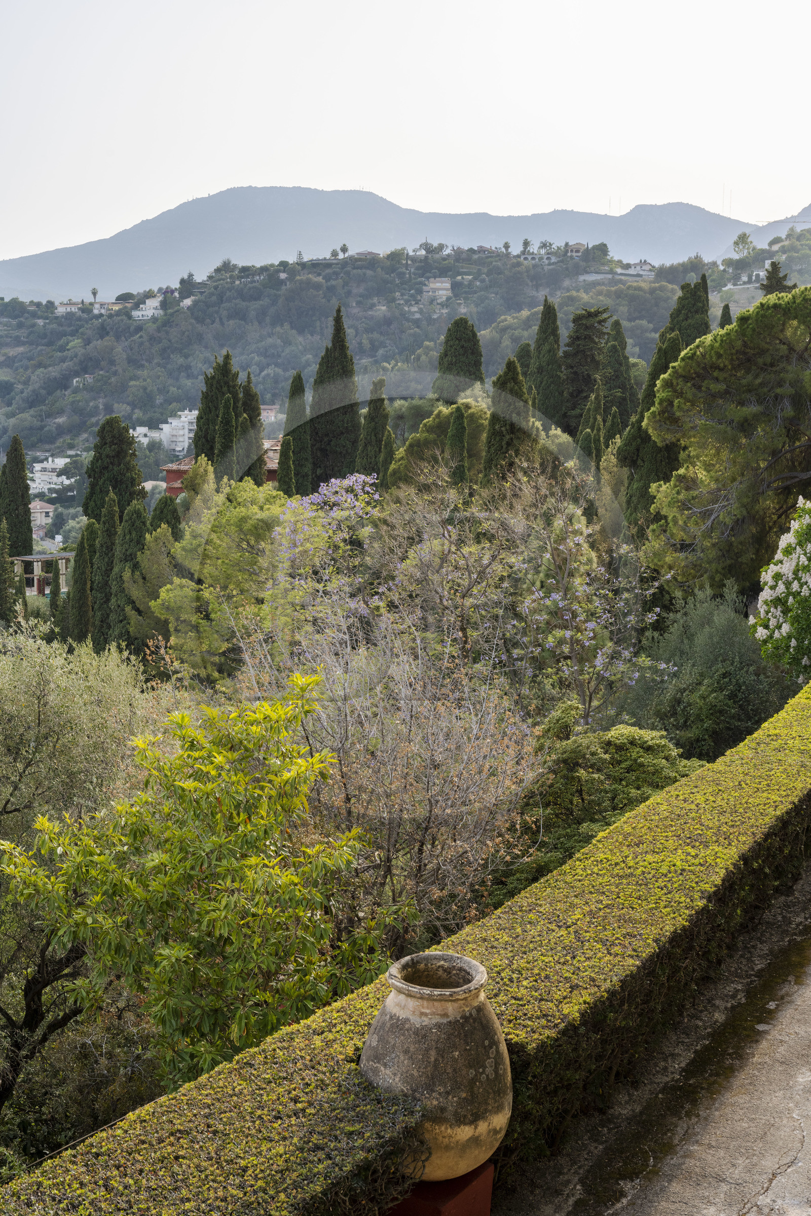 France, Alpes-Maritimes (06), Menton, Domaine des Colombieres, vue sur la montagne depuis le jardin du domaine créé par Ferdinand Bac